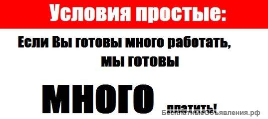 Представитель международного проекта