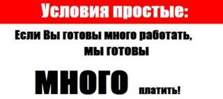 Представитель международного проекта