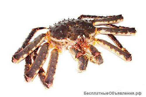 Морепродукты