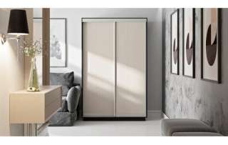 Шкафы-купе «Румер» (Венге, Дуб молочный)