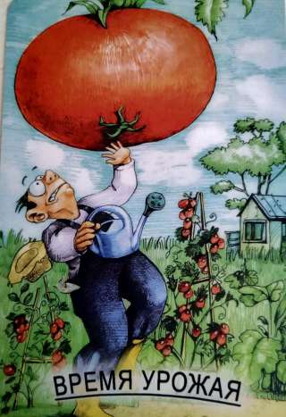 Гадание онлайн
