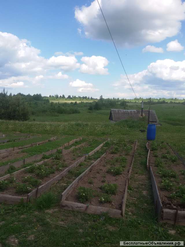 Большой дом