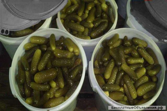 Бочковые огурцы, квашенная капуста, помидоры, яблоки