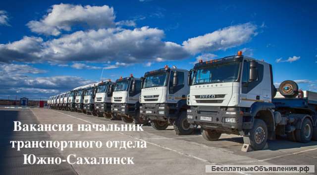 Начальник транспортного отдела