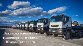 Начальник транспортного отдела