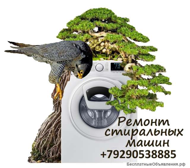 Ремонт стиральных машин