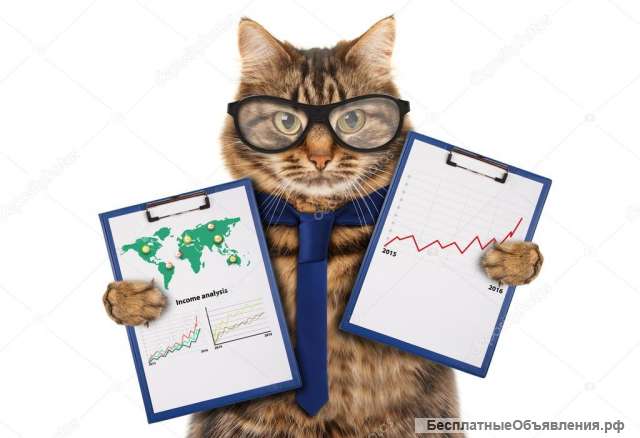 Бух учет организациям