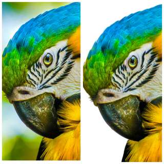 Удаляю качественно фон с фотографий