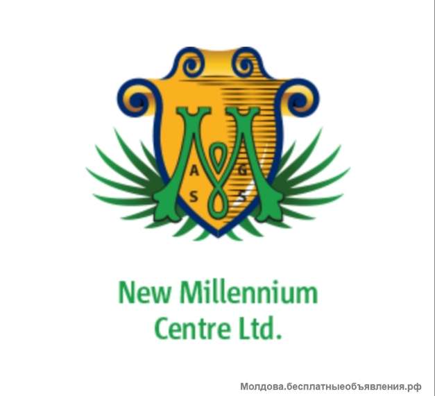 Сотрудничество в компании New Millennium Centre Ltd
