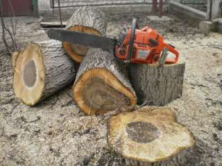 Спил удаления деревьев, профессионально оперативно