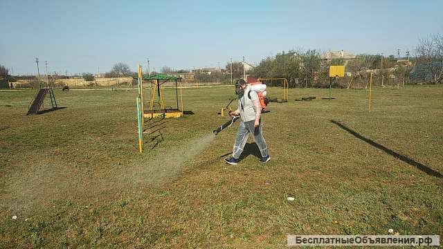 Дезинсекция, дезинфекция, дератизация