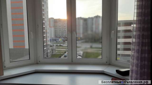 Собственник. сдаю