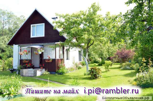 Бюджетное предложение на долгий срок для семейной пары