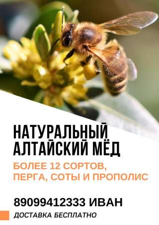 Натуральный Алтайский Мед