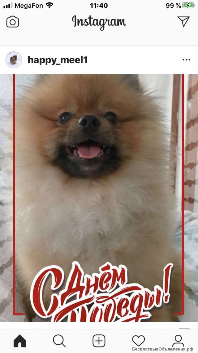 Ищем девочку