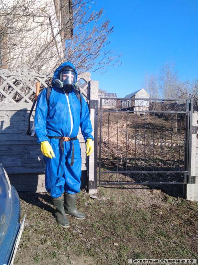 Дезинсекция. Уничтожение насекомых.