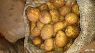 Картофель