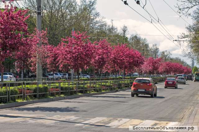 Торговое помещение 60 кв. м. на 1 этаже.