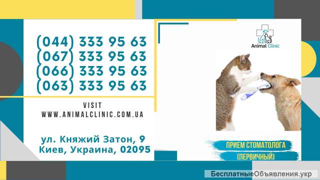 Прием главного врача