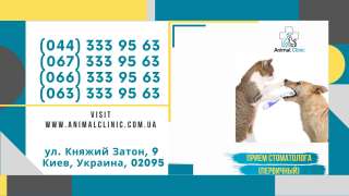 Прием главного врача