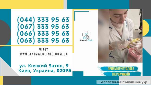 Прием врача