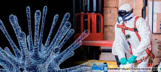 Антибактериальная дезинфекция. Вирусы, бактерии, аллергены.