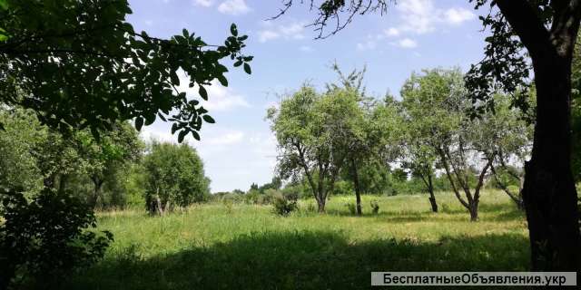 Дом c. Омелянов