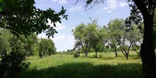 Дом c. Омелянов