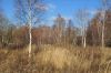 Участок 7 соток ИЖС, трасса Дон, 69 км от мкад