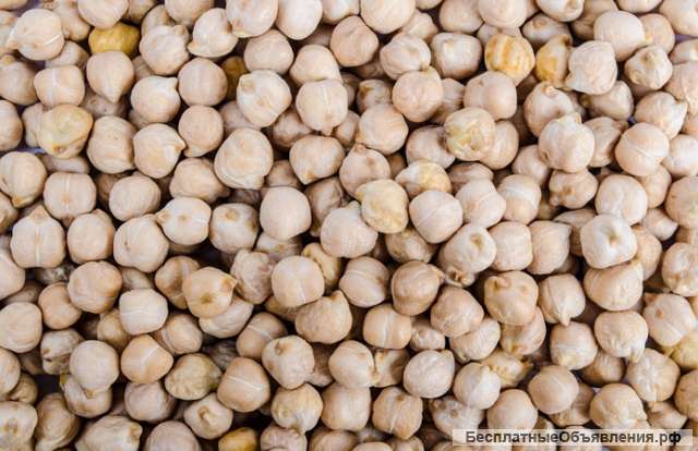 Нут из Аргентины