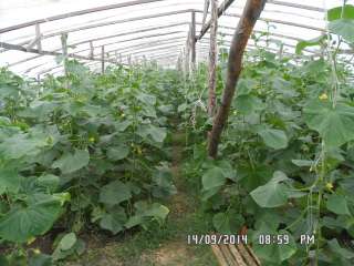 Партнёрство в сельском хозяйстве