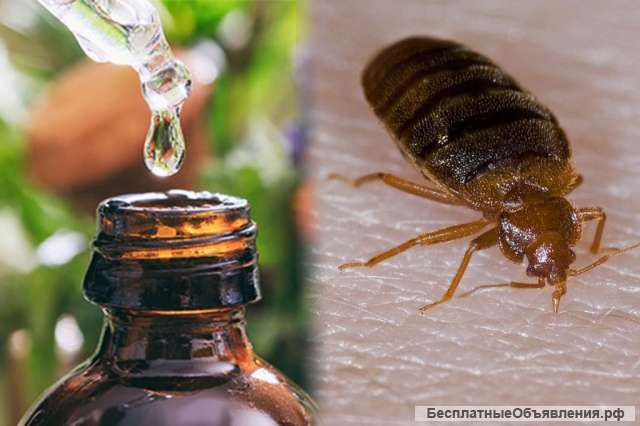 От клопов, тараканов Карбофос 1л и 0,5 л