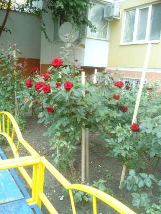 Офисное помещение ФМР, Совхозная, 20