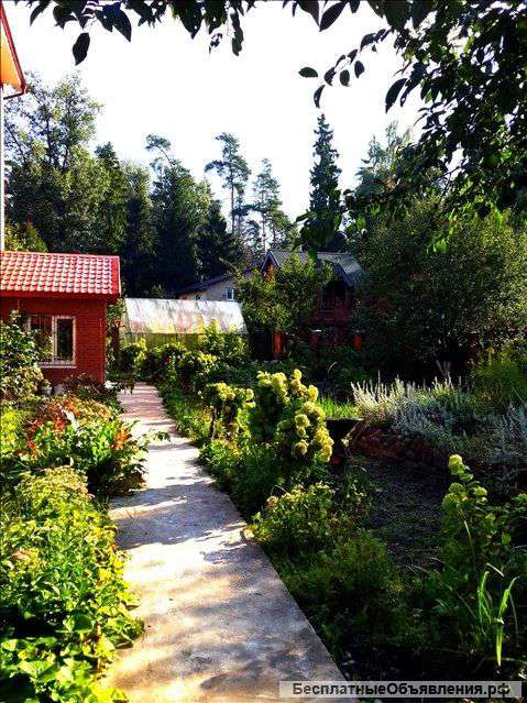 Реабилитация наркозависимых