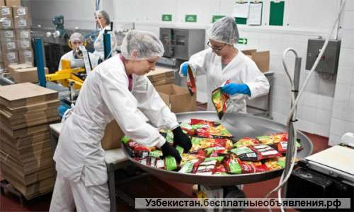 Работа в Европе