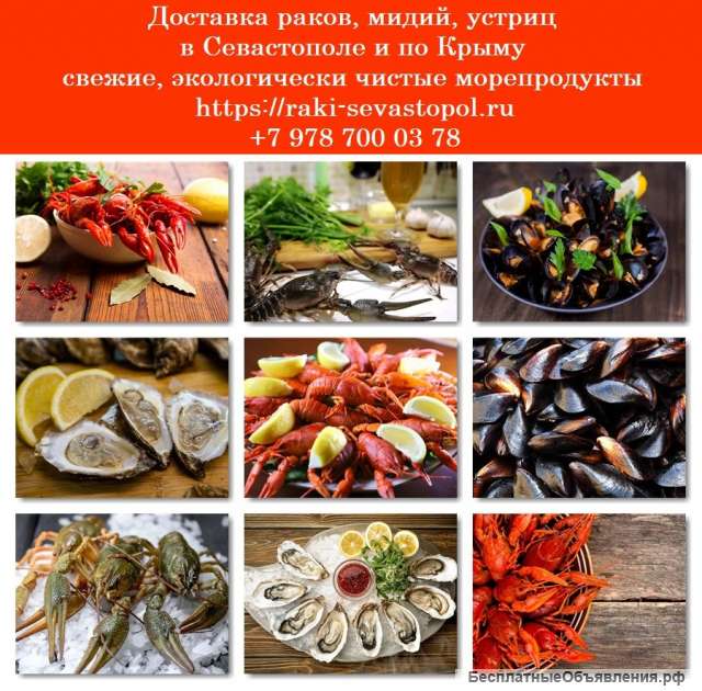 Доставка раков Севастополь. Купить раков