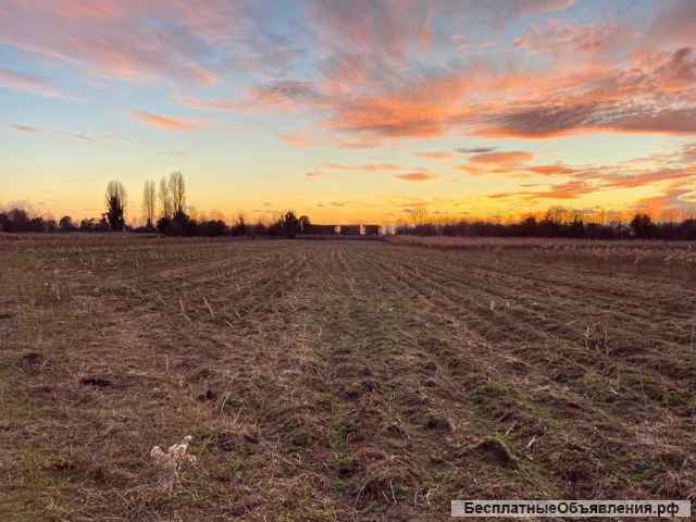 Коттеджный поселок