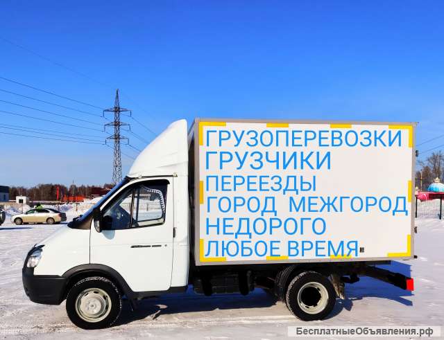 Заказ Газели. Недорого