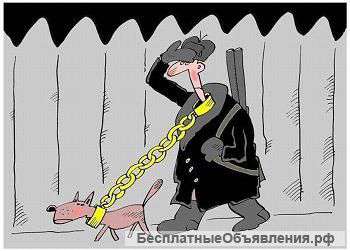 Администратор по охране территории
