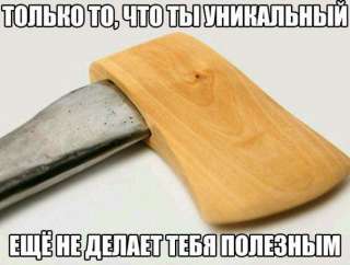 Директор Компании