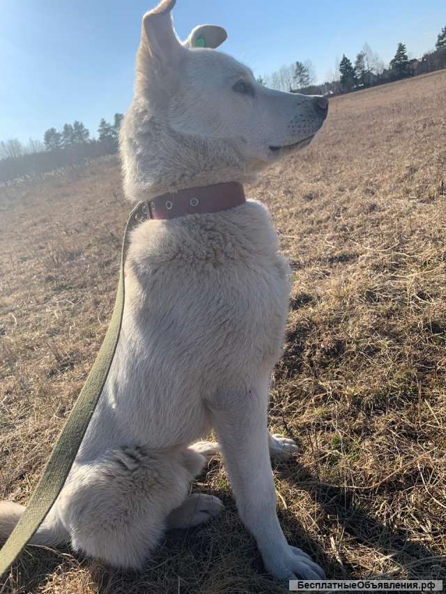 Красивый парень ищет маму и папу