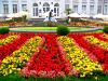 3 квартиры - Карловы Вары и Ленинградская область 160 метров. Для детей высшее образование в Чехии.