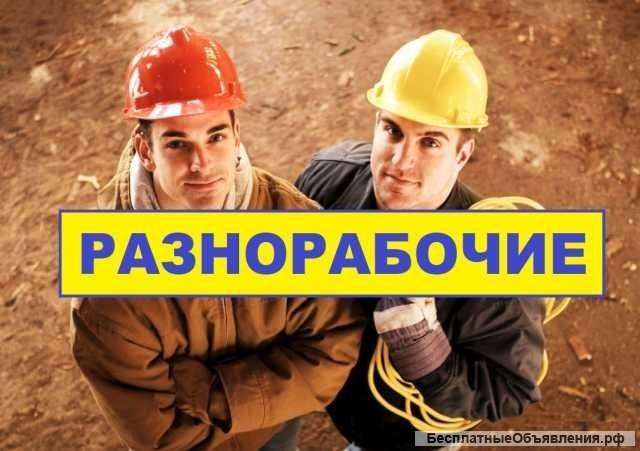 Разнорабочие