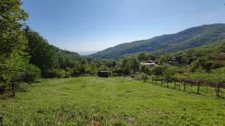 З.у 50 сот в Хосте