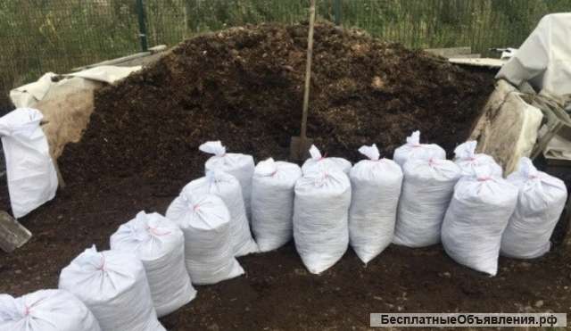 Навоз Недорого