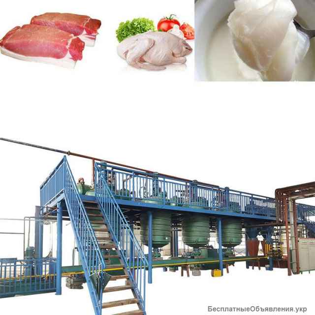 Оборудование для вытопки и переработки животного жира, сала в пищевой, технический и кормовой жир