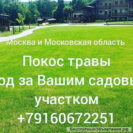 Покос травы. Уход за Вашим садовым участком