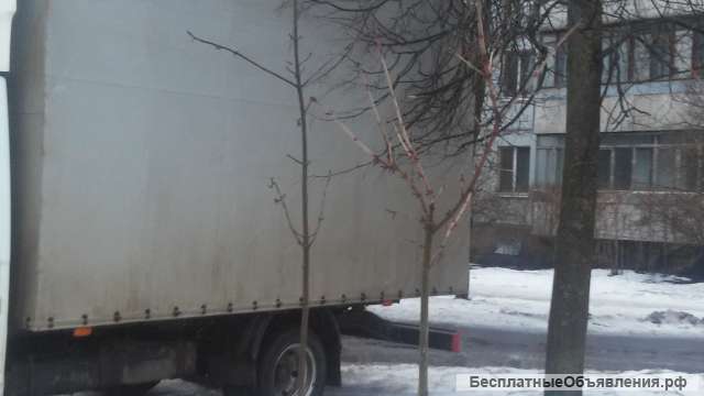 Грузоперевозки до 2т грузчики