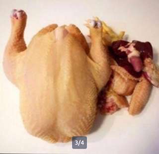 Куры домашний бройлер