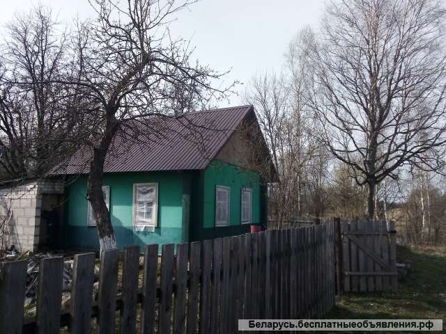 Дачным дом на берегу озера в Могилевской области